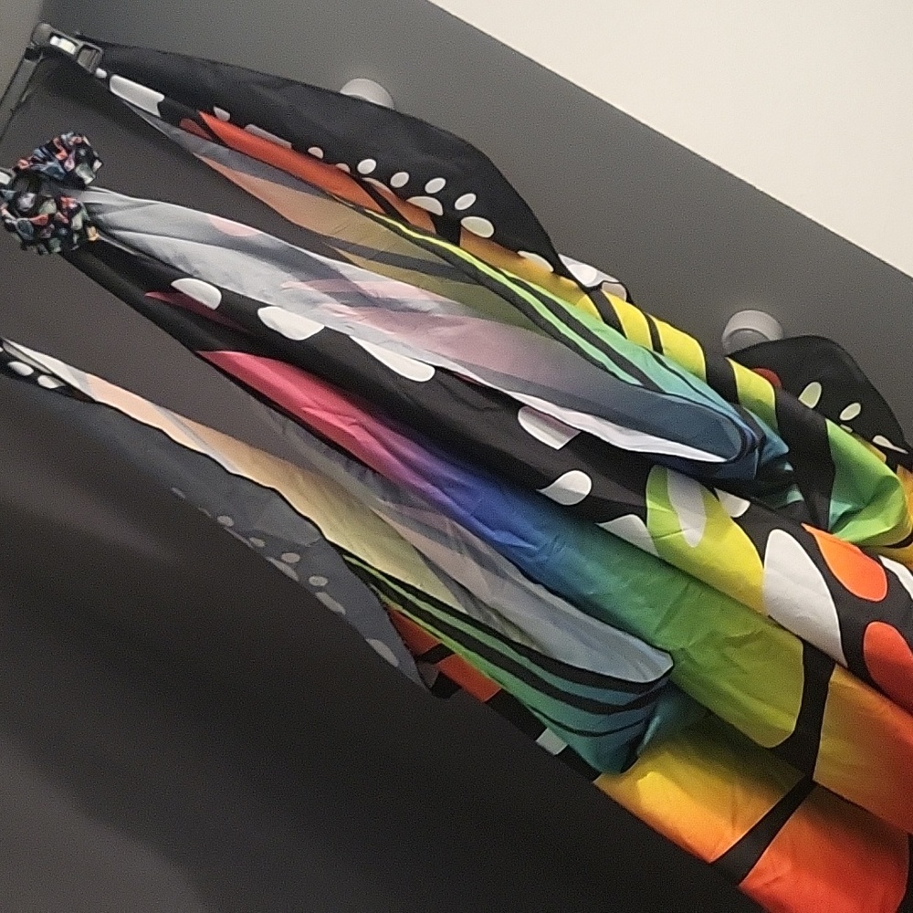 Butterfly wings
